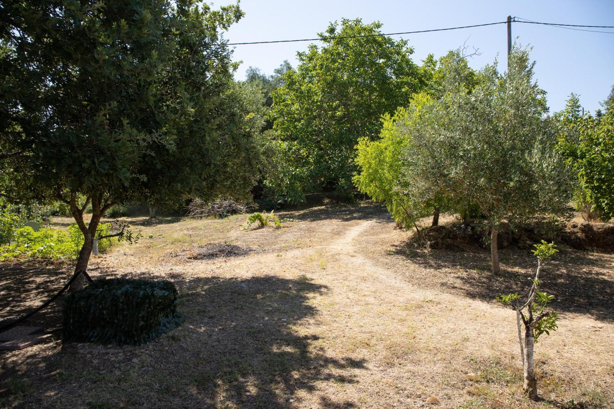 Apricus Domum Apartamento Kato Korakiana Exterior foto