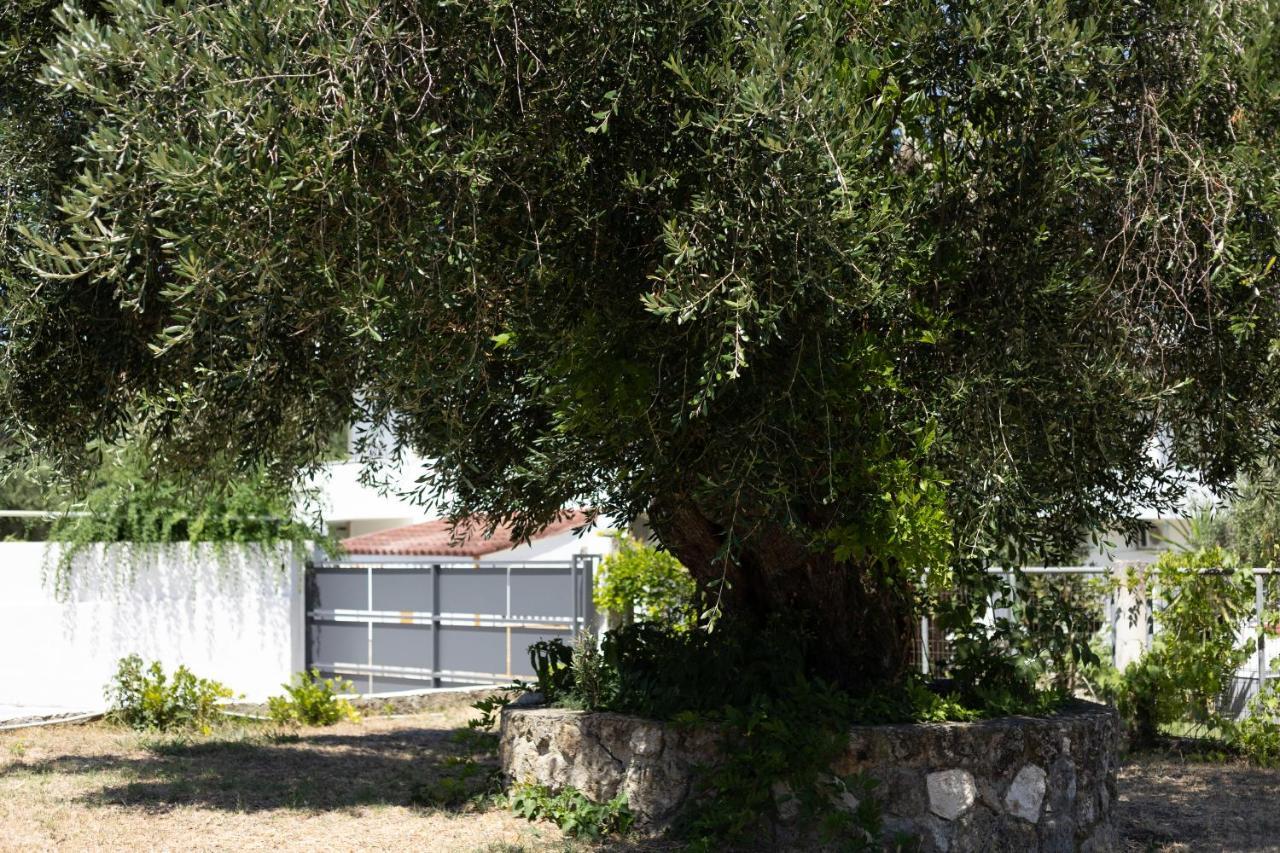 Apricus Domum Apartamento Kato Korakiana Exterior foto