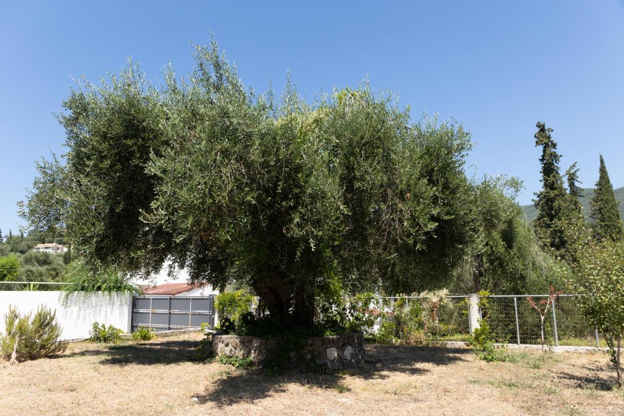 Apricus Domum Apartamento Kato Korakiana Exterior foto